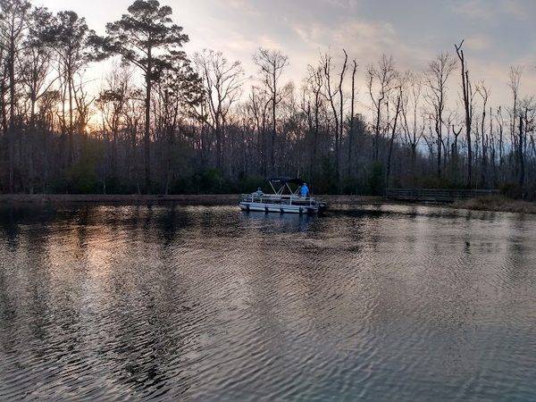 Bluffton